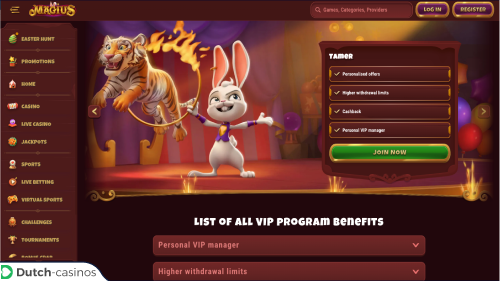 Magius Casino VIP-programma