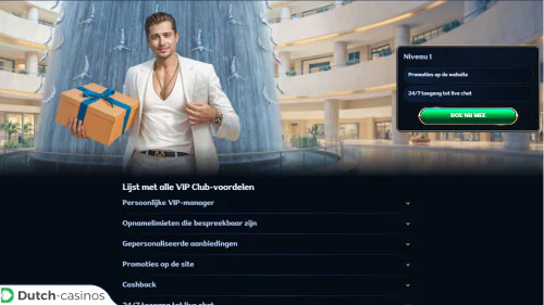 Millioner VIP-programma